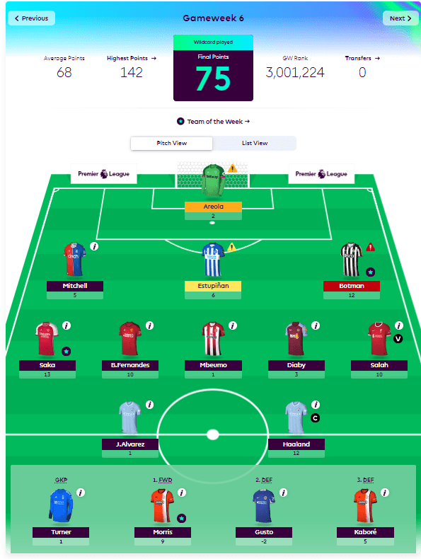 FPL wildcard team 2024